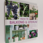 Växter för balkong & uterum - pikkukuva 1