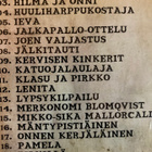 JAAKKO TEPPO: RUIKONPERÄN SUOSIKIT - pikkukuva 2