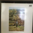 (2LP) Bob Dylan - Self Portrait - pikkukuva 3