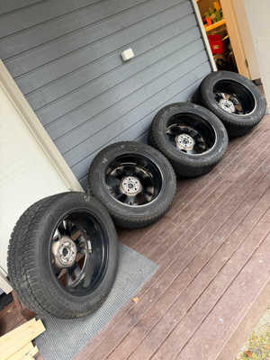 Bridgestone Blizzak DM-V3 255/55R20 Kitkat