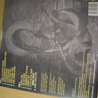UK Subs Acoustic XXIV lp muoveissa UK 2022 värivin - pikkukuva 2