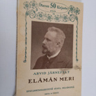Arvid Järnefelt : Elämän meri - pikkukuva 1