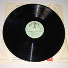 THORSTEIN BERGMAN LATINAMERIKA LP - pikkukuva 4