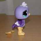 LITTLEST PET SHOP lila STRUTSI, LINTU #2099 + lapio - pikkukuva 4