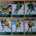 2025-26 Blueline Series 2 Ilves Team Set 12 korttia (217-228 - pikkukuva 1