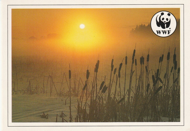 Postikortti  PRO NATURA, WWF Panda tunnus