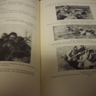 Rydeberg - Kempff - Gärdin : Militarisoitu maa ( 1 p. 1935 ) - pikkukuva 3