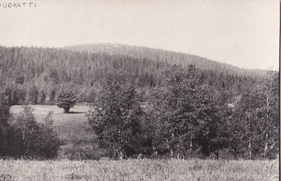 Vuokatti. Kesäkuva Valok. Kirvu b469