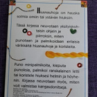 Hiusnauhoja kirjanen - pikkukuva 2