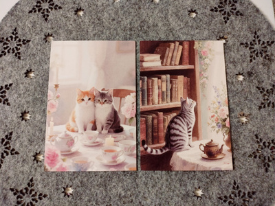 ~Kissa kortti~ 2kpl