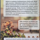 Nelli-Nallen parhaat DVD - pikkukuva 2