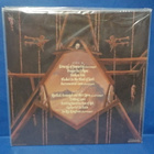 BROFANATICA - ROTTING INCARNATION OF GOD M-/M- LP - pikkukuva 2