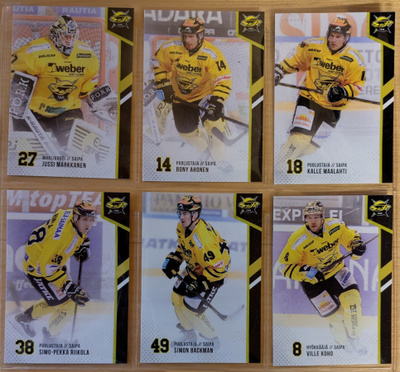 2014-15 Cardset Series 1 SaiPa Team Set 12 korttia (109-120)