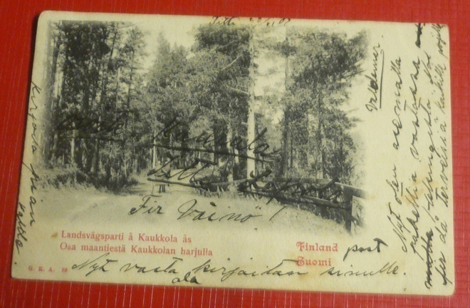 Osa maantiestä Kaukkolan harjulla 1902   (K5)