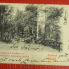 Osa maantiestä Kaukkolan harjulla 1902   (K5) - pikkukuva 1