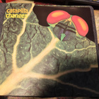 Catapilla - Changes LP Akarma - pikkukuva 1