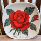 Arabia, Esteri Tomula, Rosa Rosa baccara - pikkukuva 1