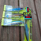 Rapala saltwater x-rap 12cm - pikkukuva 3