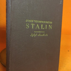 Stalin: Lyhyt elämänkerta - pikkukuva 1