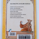 Ari Sainio : Kultakutri ja kolme karhua - pikkukuva 2