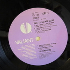 The Limeliters LP 1968 UK Time To Gather Seeds VS 130 - pikkukuva 3
