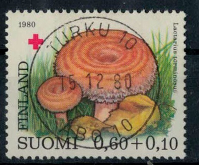 1980 PR 60p loisto TURKU -80