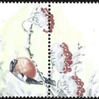 Åland 2004 Joulu 0,45 € välilöpari numero ** LaPe 243 - pikkukuva 2
