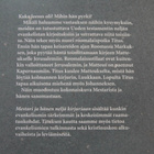 Mestari ja hänen neljä kirjuriaan, Nilsson Ulf - pikkukuva 2