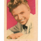 Purkkakuva H n:o 193 TOMMY STEELE Purukumikuva - pikkukuva 1