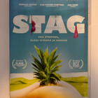 Stag (DVD) Donald Faison ja Eva Amurri Martino (2013) - pikkukuva 1