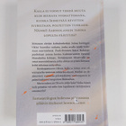 Kimmo Ohtonen : Ikimaa : kadotettu valtakunta - pikkukuva 2
