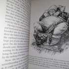 W. B. Yeats - Fairy Tales of Ireland - Ill. by P. J. Lynch - pikkukuva 3