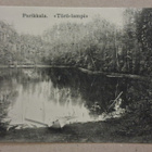 Parikkala: Törö-lampi *** (1402) - pikkukuva 1