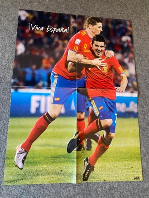 Fernando Torres David Villa juliste
