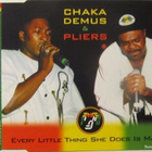 Chaka Demus & Pliers • Every Little Thing She Does CDM - pikkukuva 1
