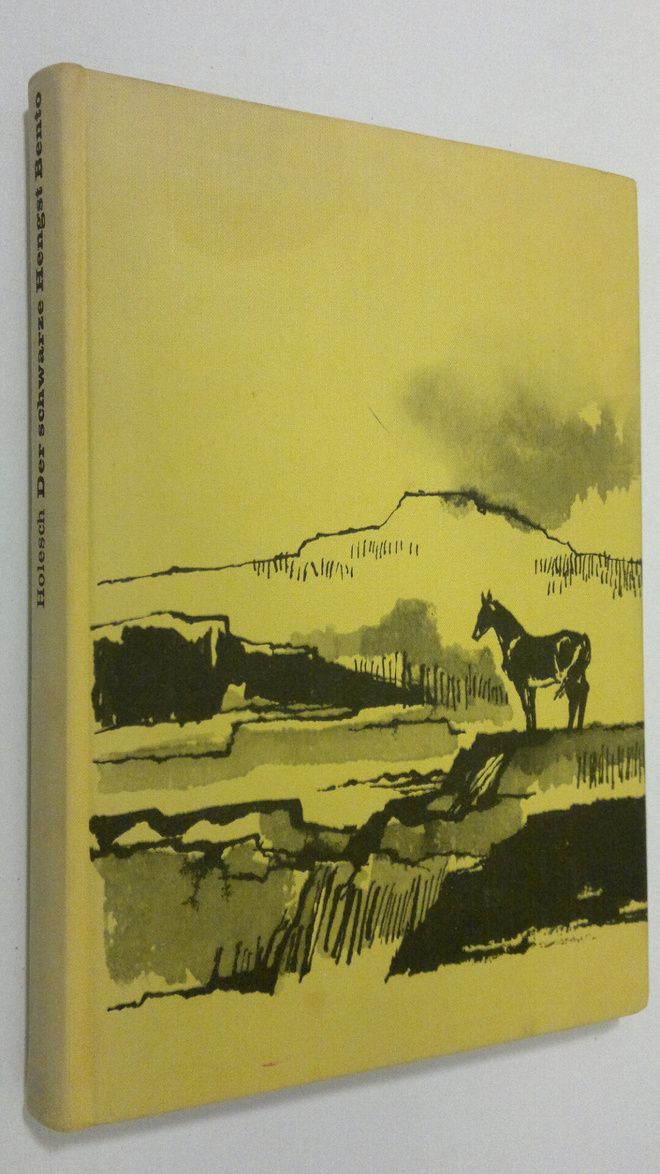 Ditha Holesch : Der schwarze Hengst Bento : roman