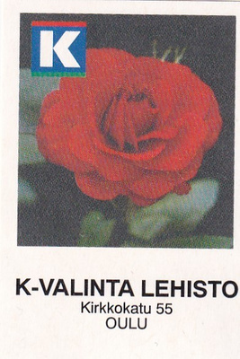 Oulu, K-Valinta Lehisto  , 2/13