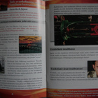 Full Flame- elokuvasarja, DVD-sarja - pikkukuva 4