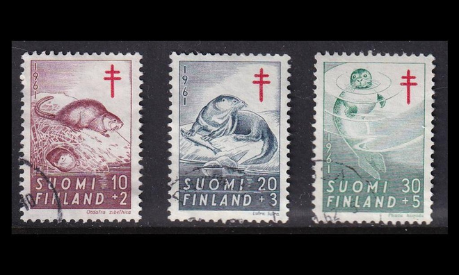 536-8 o Tuberkuloosi vesinisäkkäitä (1961)