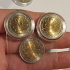 6x Risuraha 2e 2004 - pikkukuva 2