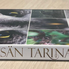 Metsän tarina (2012) koko perheen luontoseikkailu - pikkukuva 3
