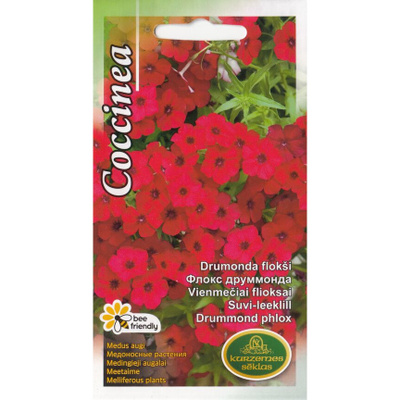 Kesäleimu "Coccinea" - siemenetHUOM PÄiVÄYS! Ale -30%#