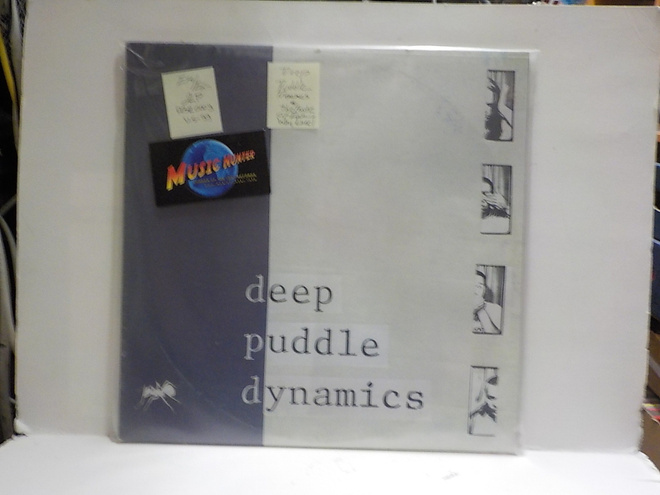 DEEP PUDDLE DYNAMICS - THE TASTE OF RAIN EX+/EX+ 2LP