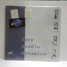 DEEP PUDDLE DYNAMICS - THE TASTE OF RAIN EX+/EX+ 2LP - pikkukuva 1