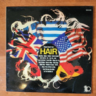 The Twangy Gang - Hair (Original Sound Track) Lp (M-/EX) - pikkukuva 1