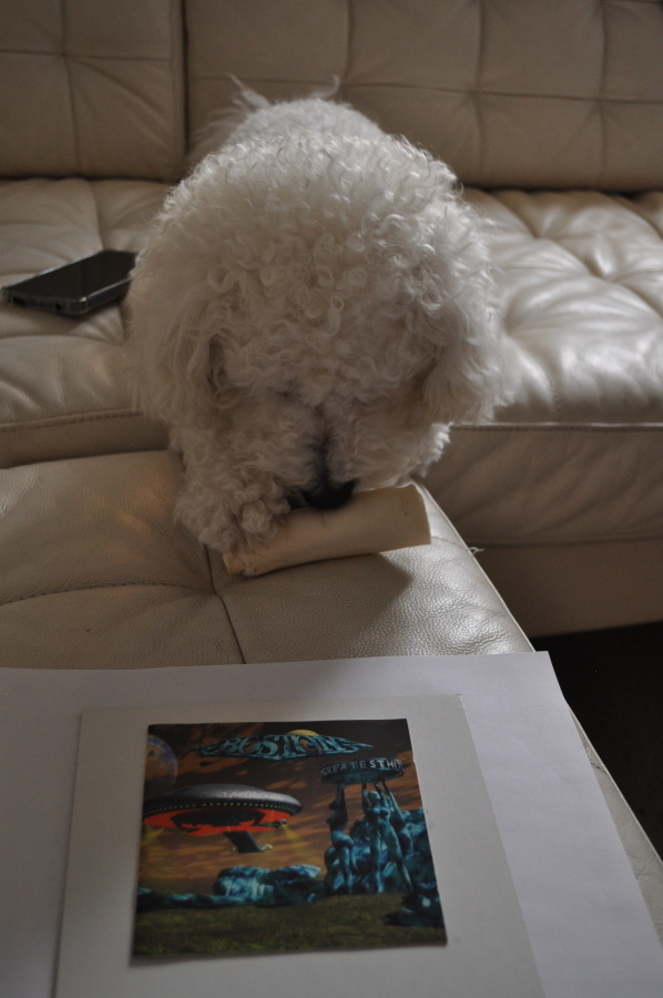 BOSTON Greatest Hits CD More Than a Feeling jne