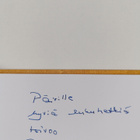 Pekka Hannula : Palvelua, kiitos : asiakaspalvelun saloja... - pikkukuva 3