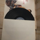 ERA Wess & Dori LP-Levy - pikkukuva 5