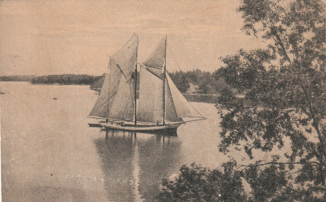 PELLINGEN SALMI