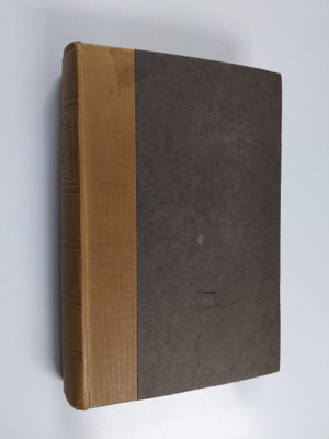 Robert Massie Freeman : A last diary of the great warr